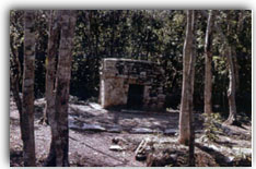 Xelha